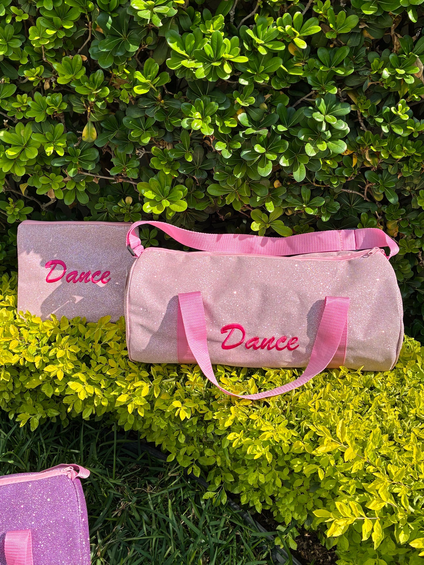 Sparkle Dance Backpack Set